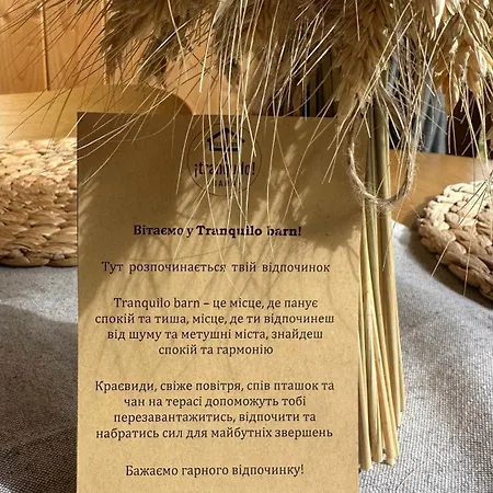 Tbarn - будинок з чаном в карпатах - Tranquilo Barn Chalet *
