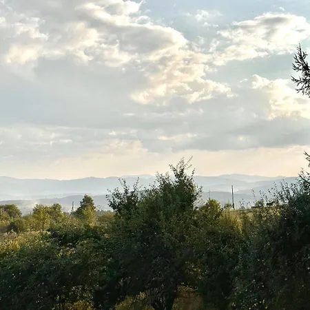 Chalet Tbarn - будинок з чаном в карпатах - Tranquilo Barn Starunya